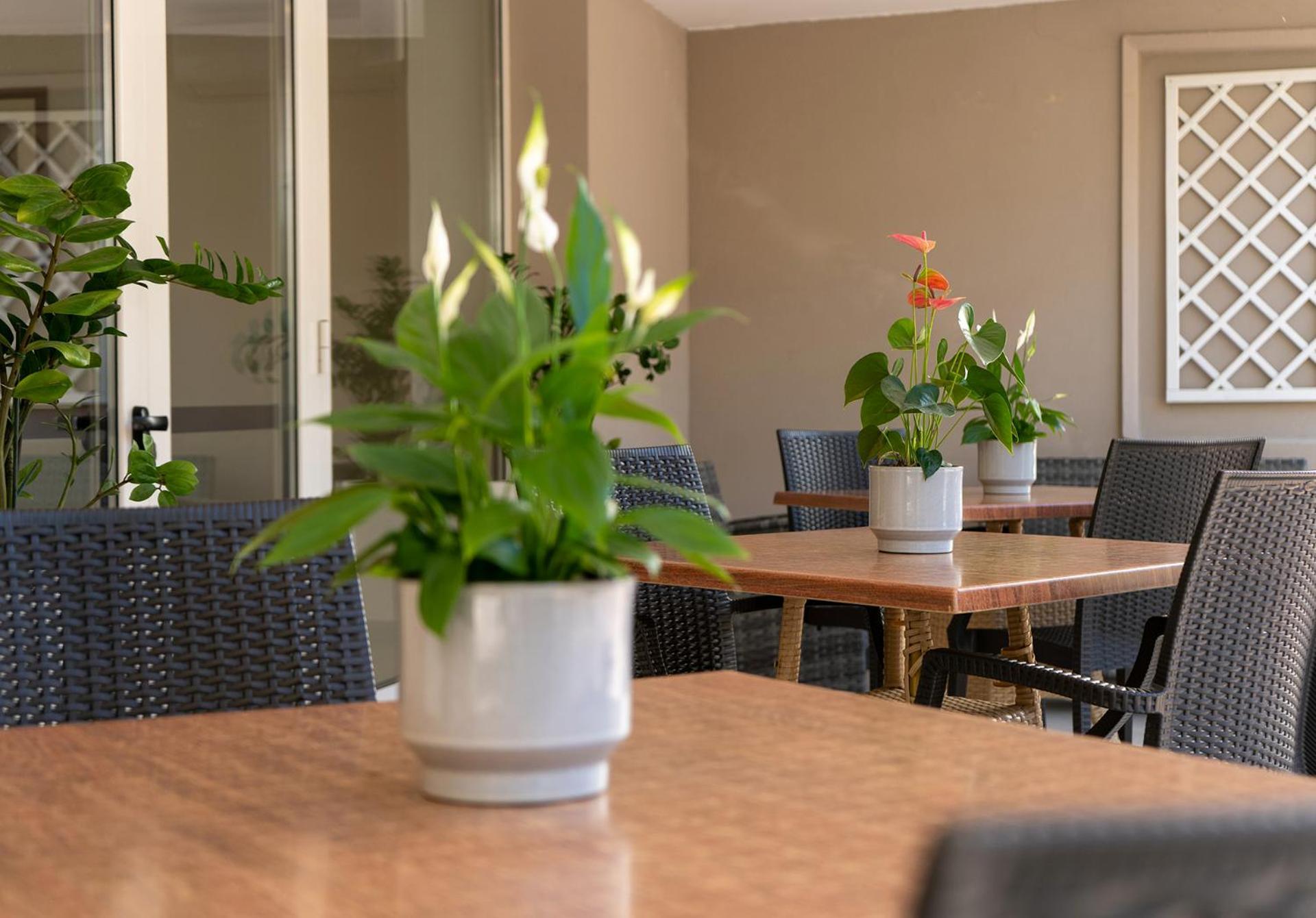 Hotel Carmen Riccione Zewnętrze zdjęcie