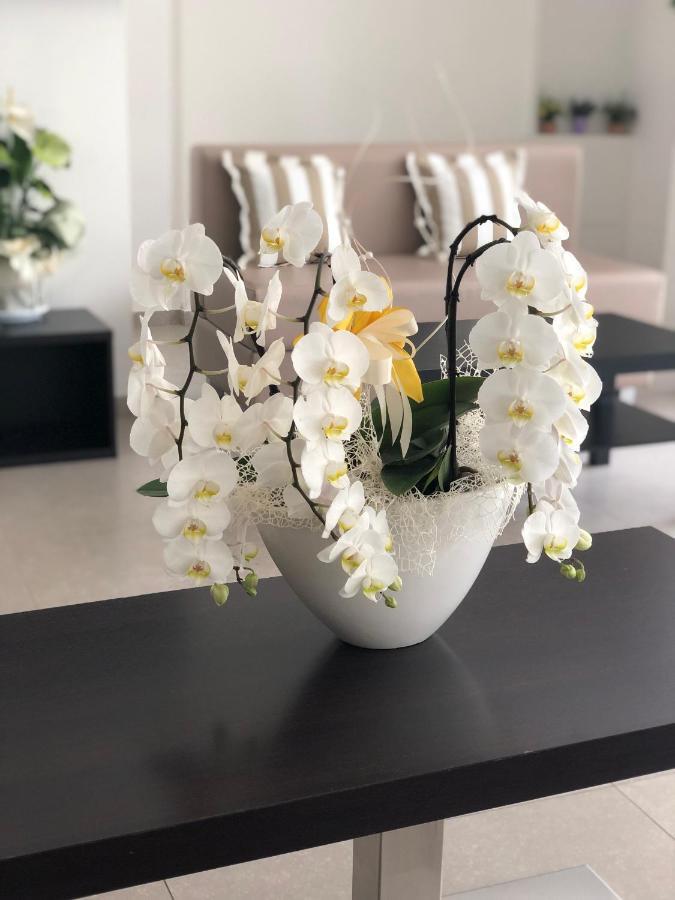 Hotel Carmen Riccione Zewnętrze zdjęcie